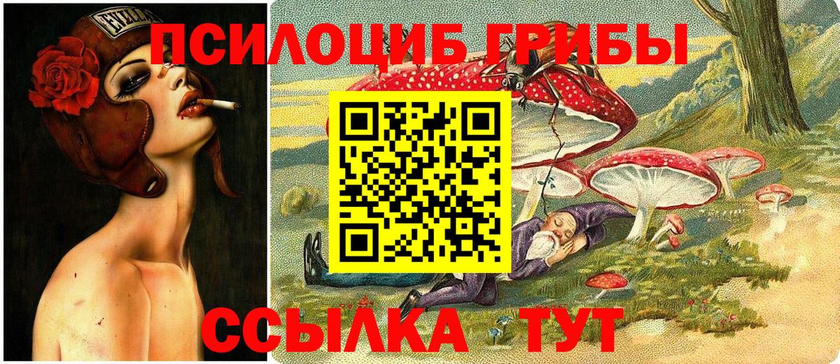 Галлюциногенные грибы Cubensis Каменск-Уральский
